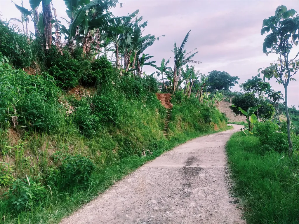 IMG20221029173445 (1).jpg